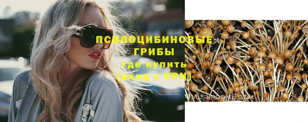 ГАЛЛЮЦИНОГЕННЫЕ ГРИБЫ Алексин
