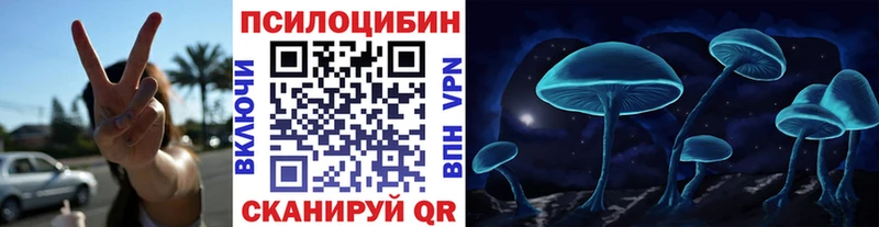 Псилоцибиновые грибы Cubensis darknet телеграм Котельники hydra онион
